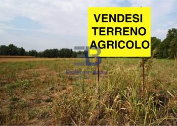 Terreno Agricolo